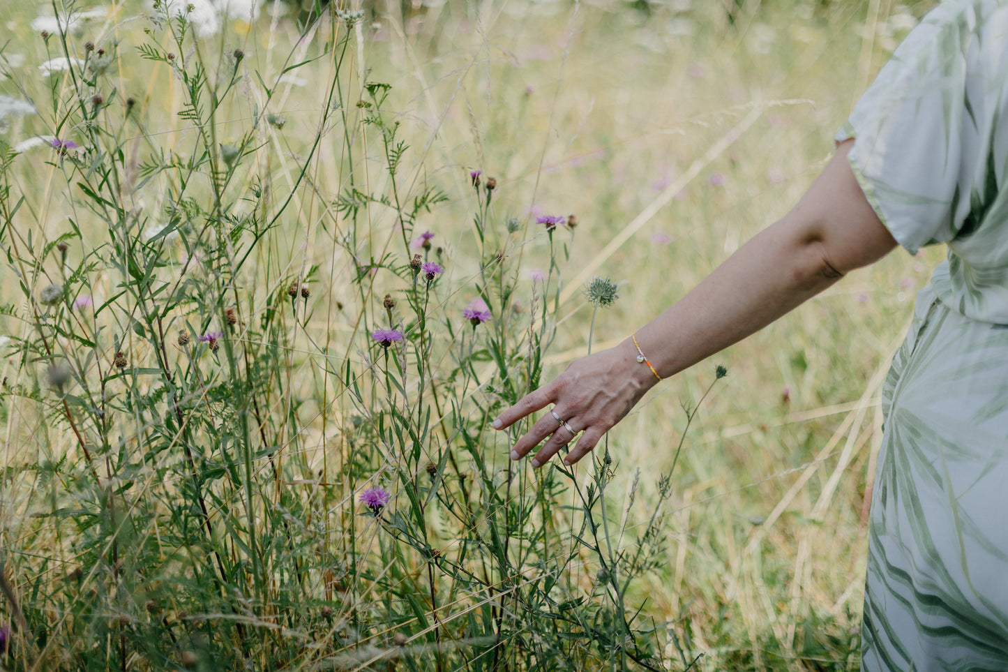 Waldmeditationen